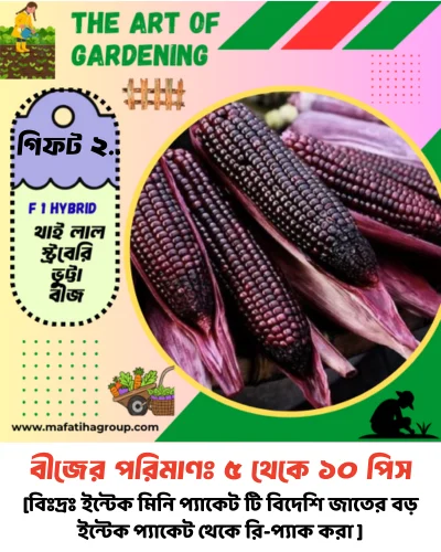 ৭ ধরনের মরিচ বীজের কম্বো + ৫ ধরনের আনকমন জাতের বীজ গিফট - Image 10