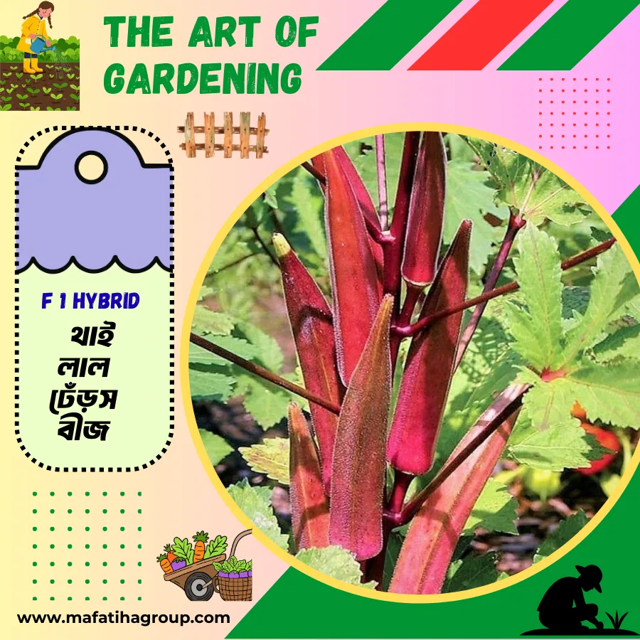 থাই F1 হাইব্রিড জাতের লাল ঢেঁড়স বীজ এর মিনি প্যাকেট ( ছোট বাগানীদের জন্য )