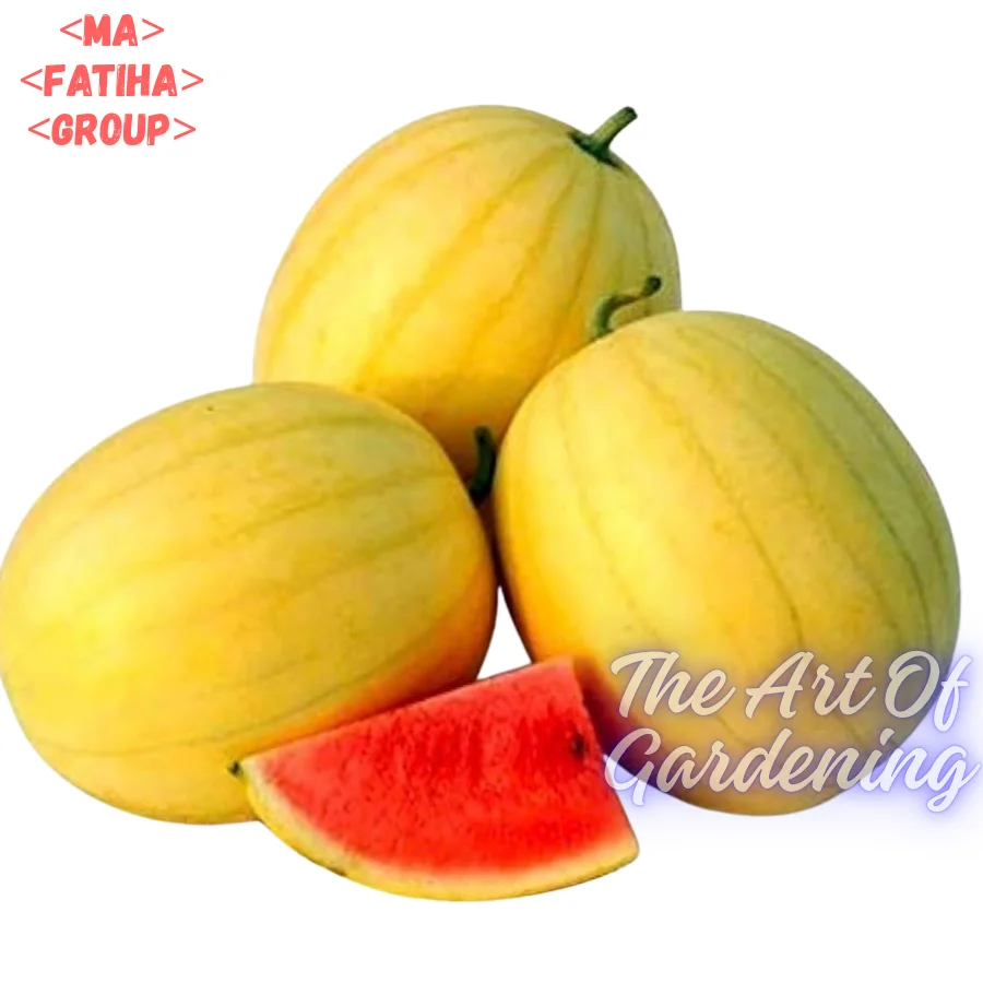 ৩ ধরনের থাই ও ভিয়েতনামিজ জাতের F 1 Hybrid তরমুজ বীজ এর ইন্টেক প্যাকেট এর কম্বো - Image 20