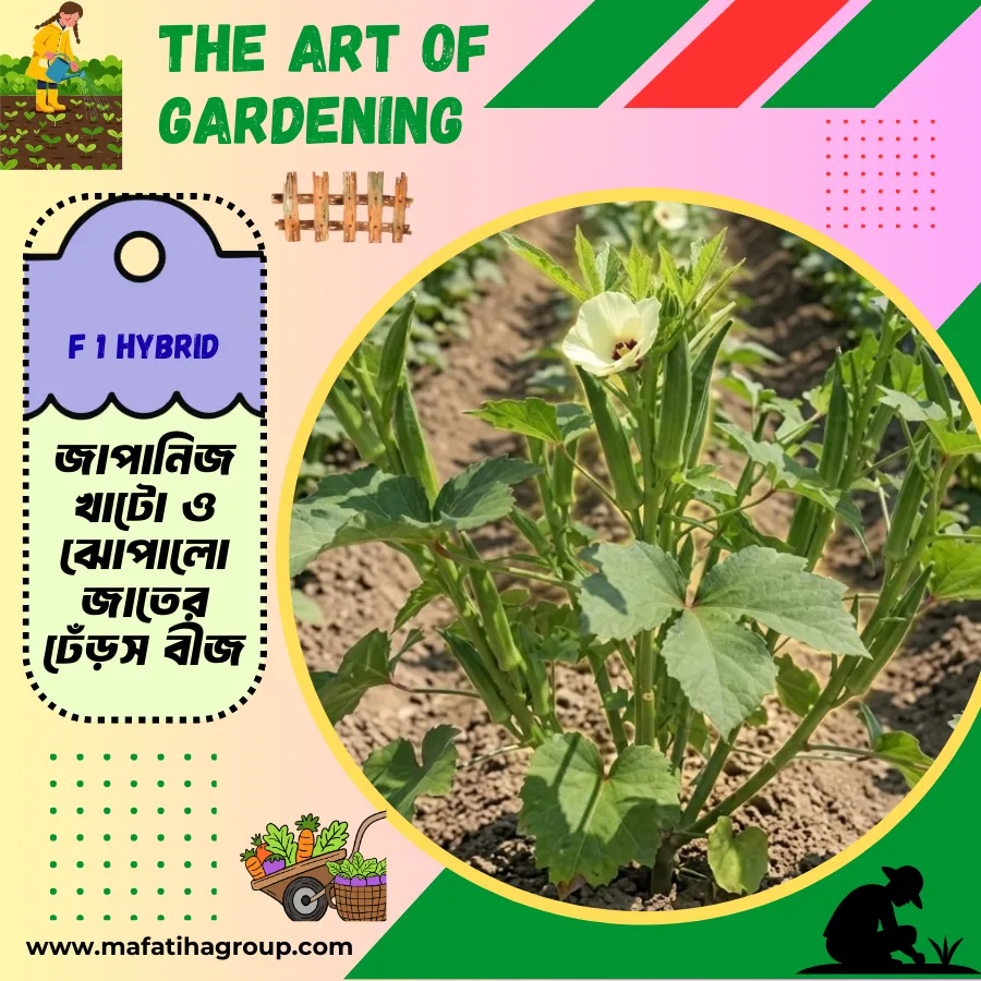 জাপানিজ খাটো ও ঝোপালো জাতের ঢেঁড়স বীজ এর মিনি প্যাকেট ( ছোট বাগানীদের জন্য )