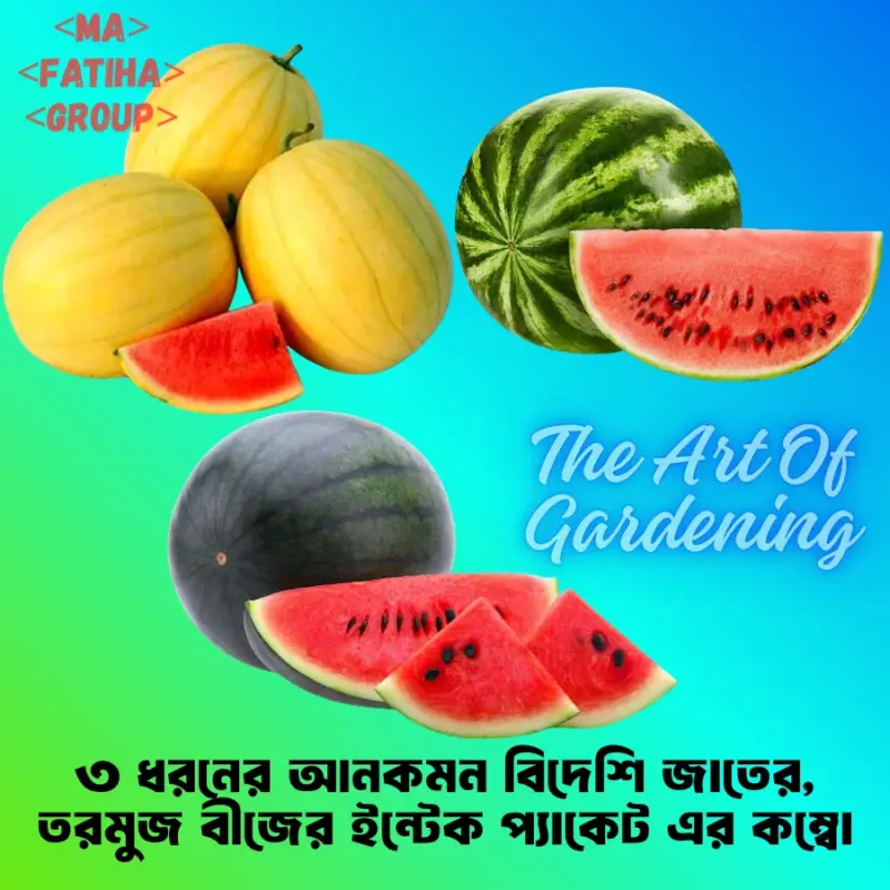 ৩ ধরনের থাই ও ভিয়েতনামিজ জাতের F 1 Hybrid তরমুজ বীজ এর ইন্টেক প্যাকেট এর কম্বো